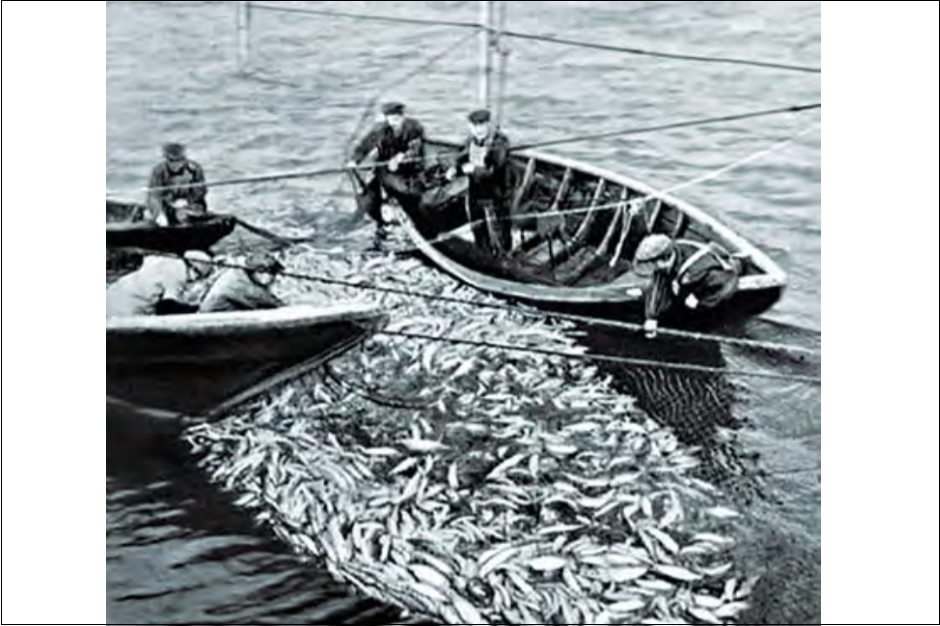 Путина на Байкале в годы войны