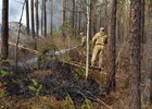 Тушение лесного пожара. Фото пресс-службы правительства Иркутской области