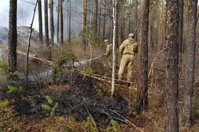 Тушение лесного пожара. Фото пресс-службы правительства Иркутской области