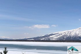 Серые журавли. Фото из группы «ВКонтакте» Витимского заповедника