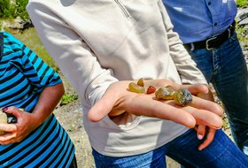 Научная экскурсия в Тажеранскую степь