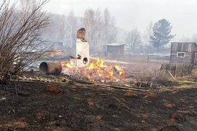 Сгоревший участок. Фото из телеграм-канала Николая Дружинина
