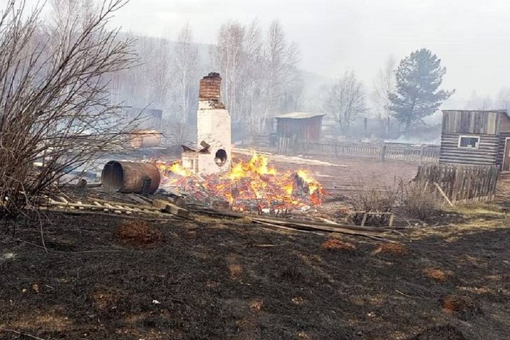 Сгоревший участок. Фото из телеграм-канала Николая Дружинина