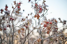 Фото: Маргарита Романова