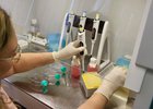 Исследование крови. Фото пресс-службы правительства Иркутской области