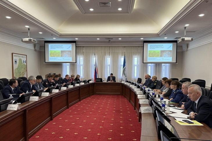 Заседание. Фото пресс-службы правительства Иркутской области