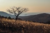 Выставка Иркутского фотографического общества