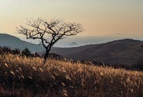 Выставка Иркутского фотографического общества