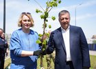Анна Суркова, Игорь Кобзев. Фото пресс-службы правительства Иркутской области