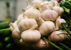 Чеснок. Фото из архива IRK.ru