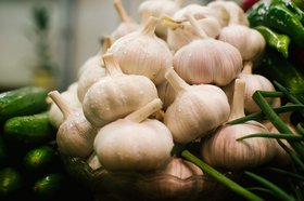 Чеснок. Фото из архива IRK.ru