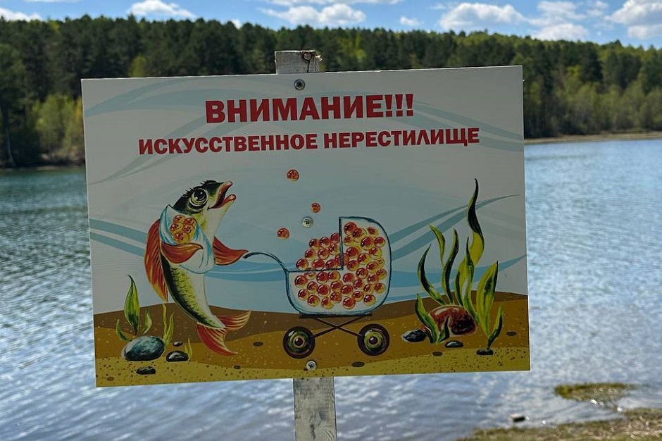 Нерестилище. Фото из телеграм-канала «Ангара.ГЭС.Лайф»