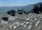 Рыба. Фото оперативной группы ФГБУ «Заповедное Прибайкалье»