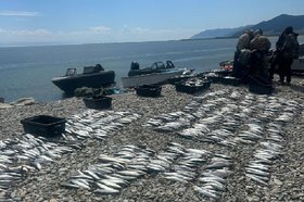 Рыба. Фото оперативной группы ФГБУ «Заповедное Прибайкалье»
