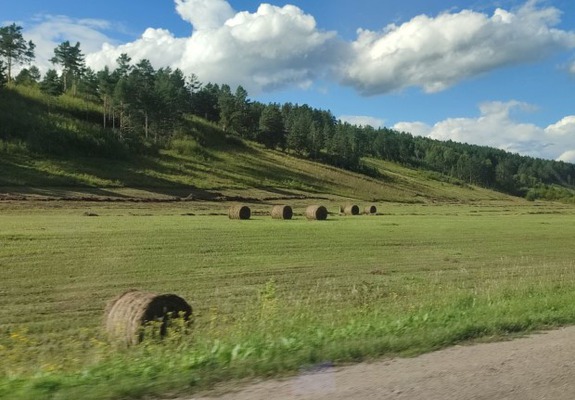 Фото предоставлено организаторами