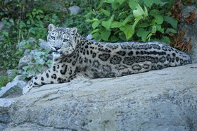 Фото пользователя vladimircech с сайта freepik.com.