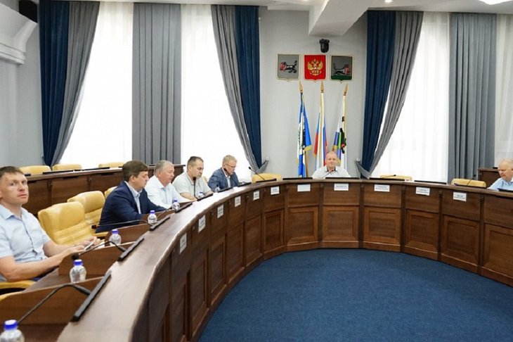 Заседание. Фото пресс-службы думы Иркутска