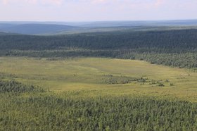 Лес. Фото пресс-службы правительства Иркутской области