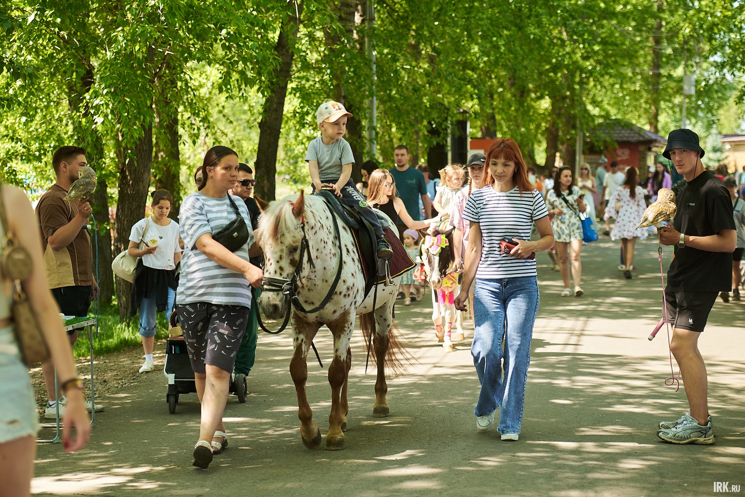 Кто-то — на лошади.