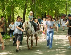 Кто-то — на лошади.