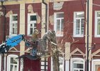 Специалисты спиливают аварийное дерево. Фото IRK.ru