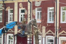 Специалисты спиливают аварийное дерево. Фото IRK.ru