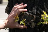 «Фотокадр». Выставка молодёжных работ