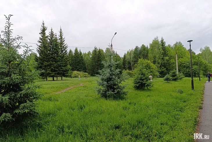 Роща Академгородка. Фото Ольги Фонарёвой, IRK.ru