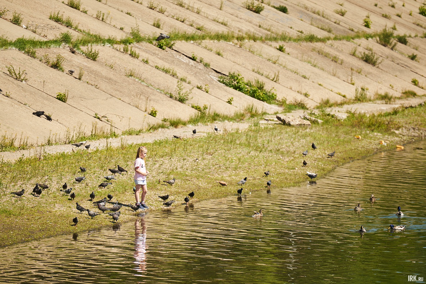 А кто-то кормил уточек.