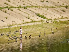 А кто-то кормил уточек.