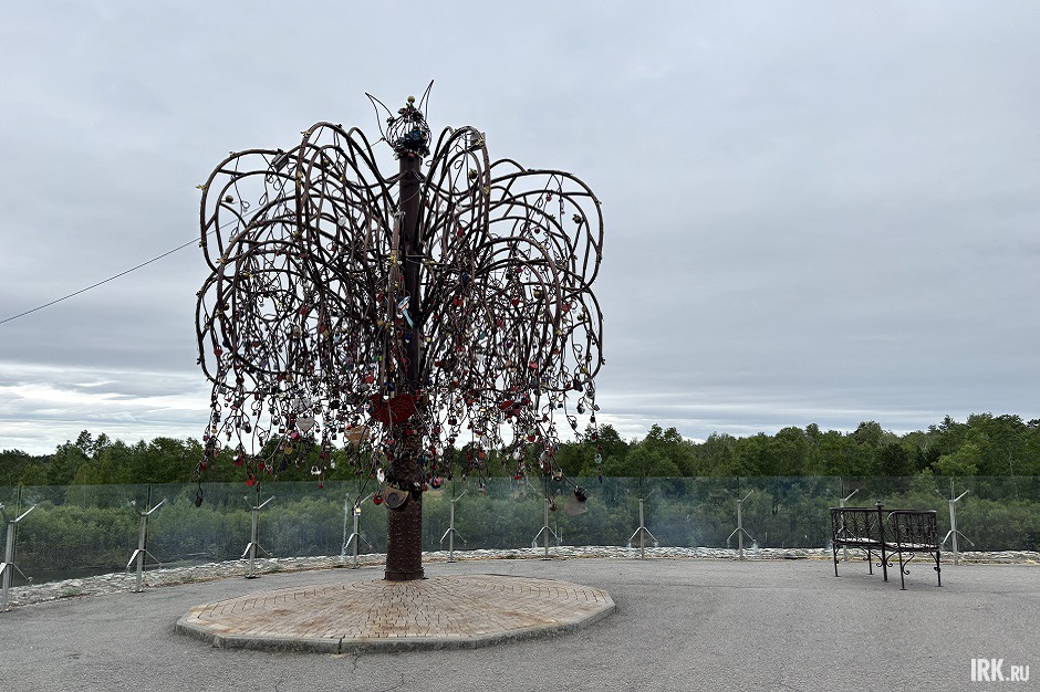 Дерево, на ветви которого молодожены вешают замки. Фото IRK.ru