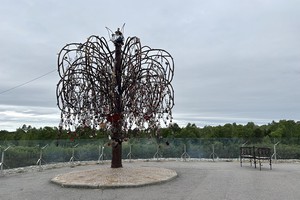 Дерево, на ветви которого молодожены вешают замки. Фото IRK.ru