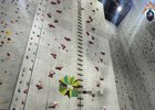 Скалодром. Фото пресс-службы СУ СКР по Иркутской области