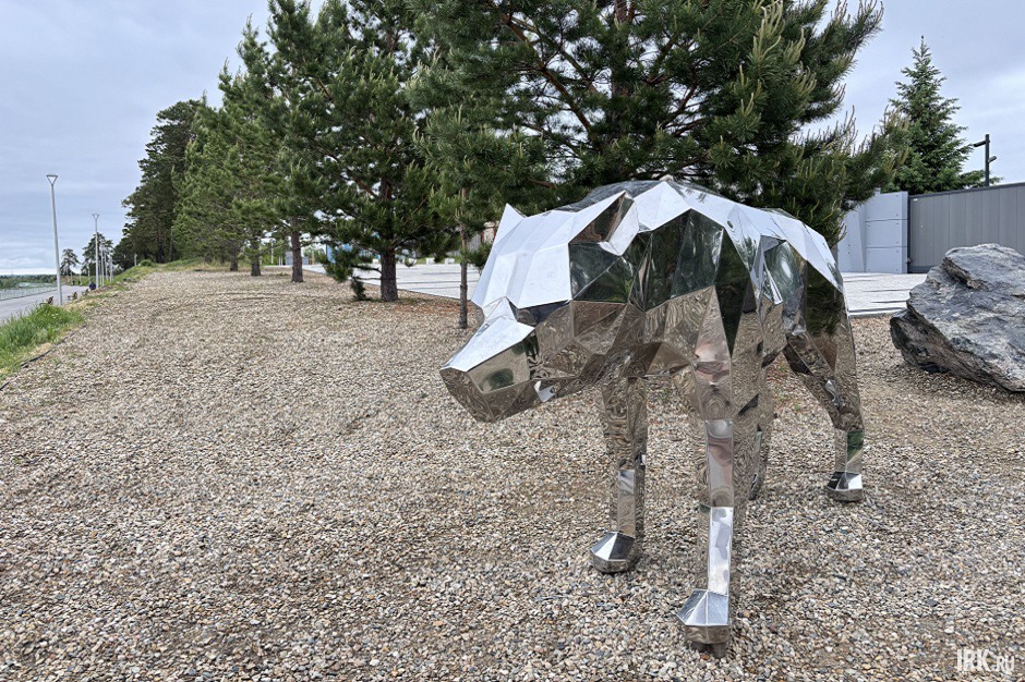 Зеркальный волк. Фото IRK.ru