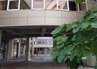 Здание БГУ. Фото ФГБОУ ВО «БГУ»