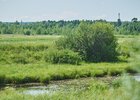 Лето. Фото Маргариты Романовой, IRK.ru