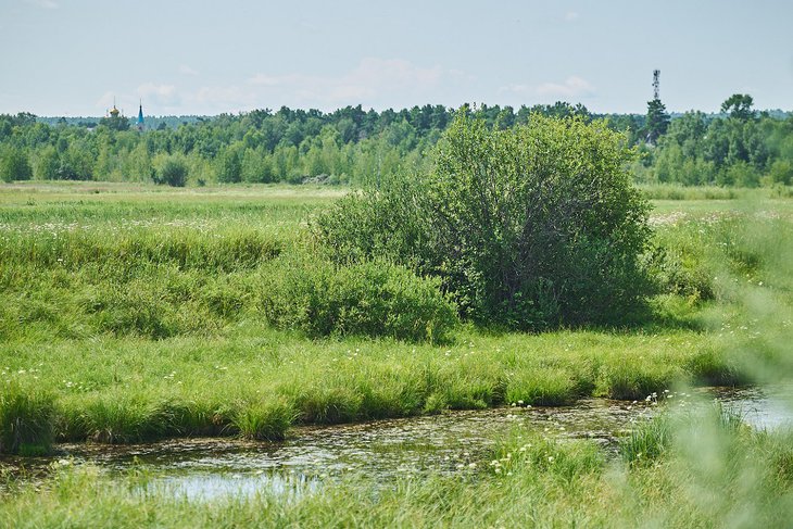 Лето. Фото Маргариты Романовой, IRK.ru