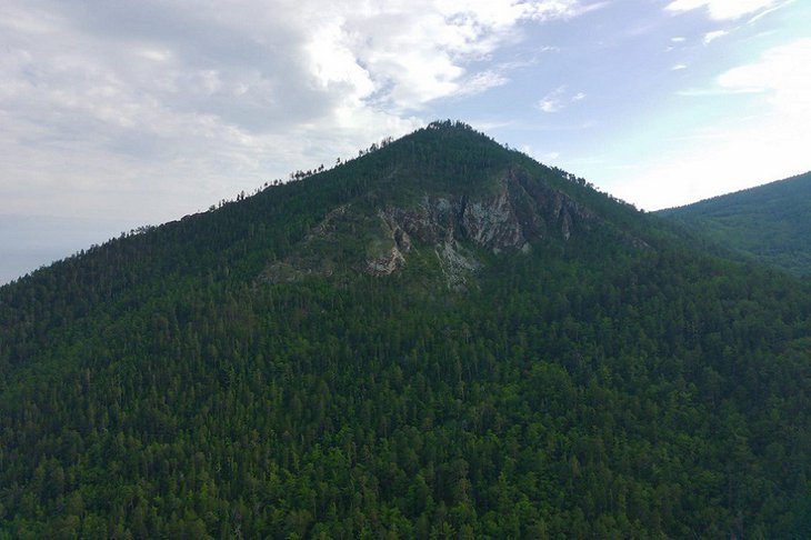 Лес. Фото Алексея Коршунова, IRK.ru