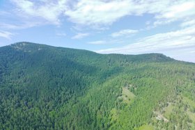Окрестности Большого Голоустного. Фото Алексея Коршунова, IRK.ru