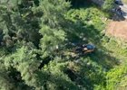 Вырубка деревьев. Скриншот видео очевидцев