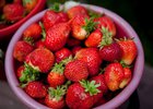 Клубника. Фото из архива IRK.ru