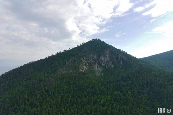 Лес. Фото Алексея Коршунова, IRK.ru