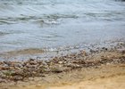 Водоем. Фото из архива IRK.ru