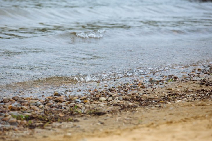 Водоем. Фото из архива IRK.ru