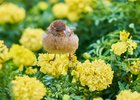 Лето. Фото Маргариты Романовой, IRK.ru