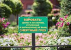 Табличка на городской клумбе. Фото Маргариты Романовой, IRK.ru