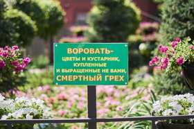 Табличка на городской клумбе. Фото Маргариты Романовой, IRK.ru
