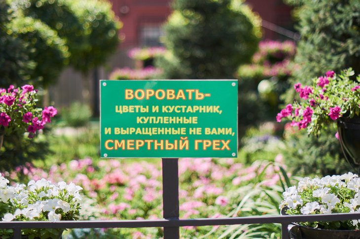 Табличка на городской клумбе. Фото Маргариты Романовой, IRK.ru