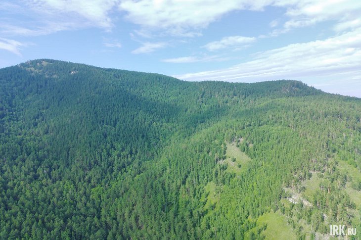 Лес. Фото Алексея Коршунова, IRK.ru