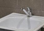 Раковина. Фото Маргариты Романовой, IRK.ru